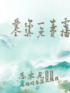 爱你一生电视剧全集免费播放高清