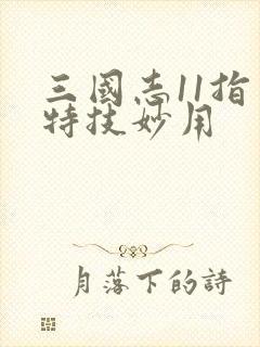 三国志11指导特技妙用