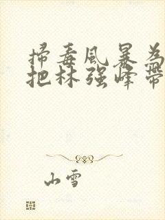 扫毒风暴为什么把林强峰带走