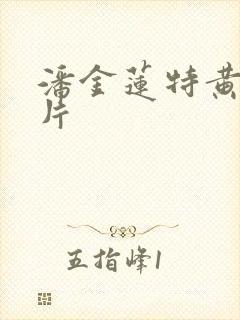 潘金莲特黄一级片