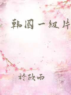 韩国一级片中出