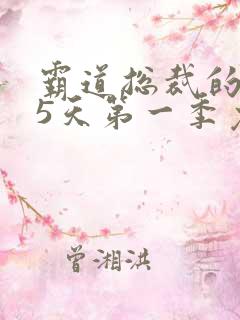 霸道总裁的365天第一季免费