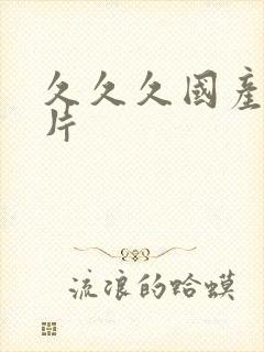 久久久国产一毛片