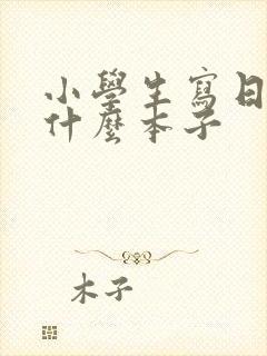 小学生写日记用什么本子