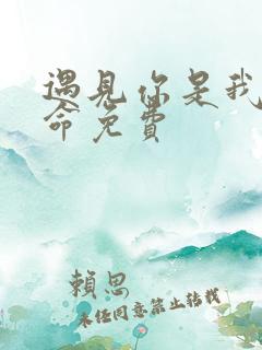 遇见你是我的宿命免费