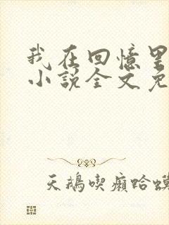 我在回忆里等你小说全文免费阅读