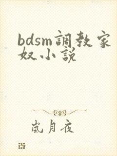 bdsm调教家奴小说