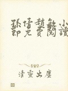 孙倩赵敏小说章节免费阅读