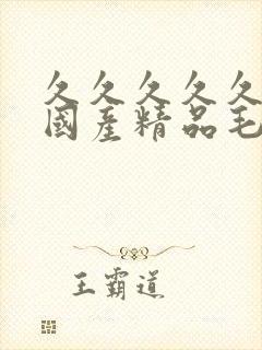 久久久久久久久国产精品毛片