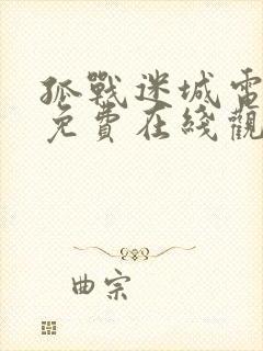 孤战迷城电视剧免费在线观看