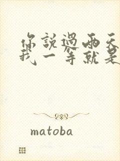 你说过两天来看我一等就是一年多是什么歌