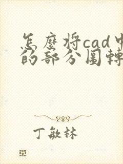怎么将cad中的部分图转为pdf