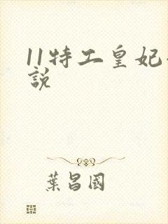 11特工皇妃小说