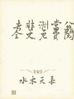 去非洲当公交车全文免费阅读小说最