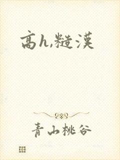 高h,糙汉