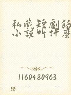 私藏短剧的原著小说叫什么