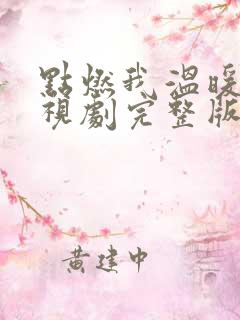 点燃我温暖你电视剧完整版免费观看