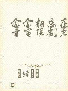 念念相忘在线观看电视剧免费高清