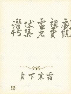 潜伏电视剧全集45集免费观看