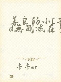 善良的小[子hd无删减在多少集