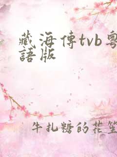 藏海传tvb粤语版