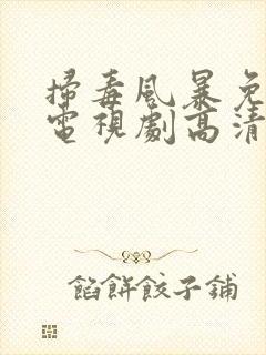 扫毒风暴免费版电视剧高清在线观看