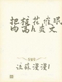 把校花催眠了纯肉高h爽文