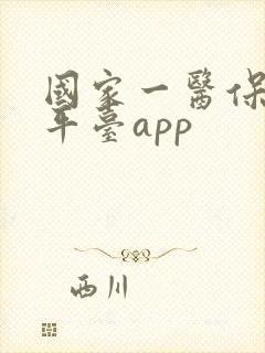 国家一医保服务平台app