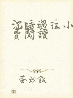 沉睡过往小说免费阅读