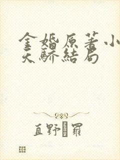 金婚原著小说李天骄结局