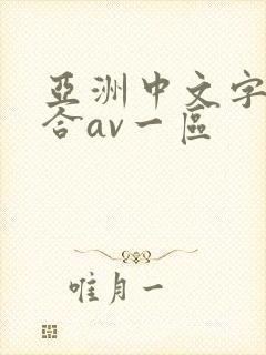 亚洲中文字幕综合av一区