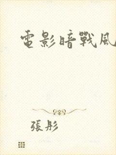 电影暗战风云
