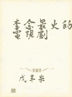 李念最火的5部电视剧