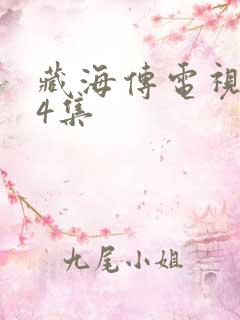 藏海传电视剧14集