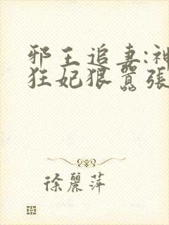 邪王追妻:神医狂妃狠嚣张小说