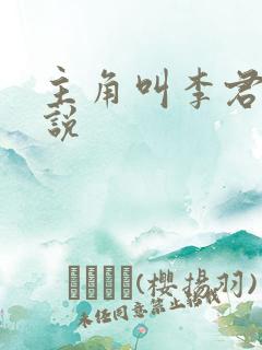 主角叫李君的小说