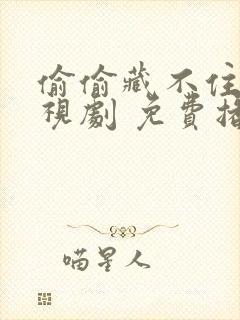 偷偷藏不住 电视剧 免费播放