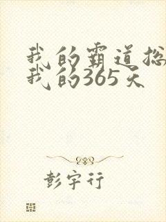 我的霸道总裁和我的365天