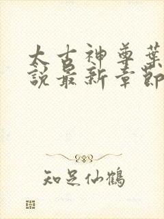 太古神尊叶风小说最新章节