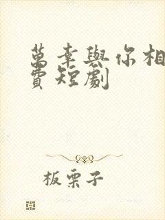 万幸与你相逢免费短剧