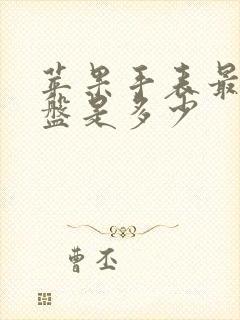 苹果手表最大表盘是多少