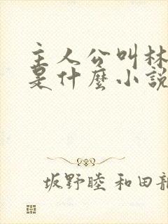 主人公叫林峰的是什么小说