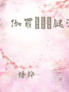 伽罗ちゃん腿法