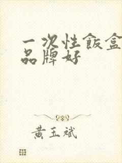 一次性饭盒哪个品牌好