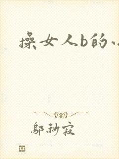 操女人b的小说
