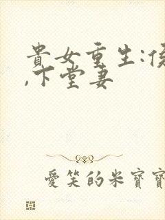贵女重生:侯府,下堂妻