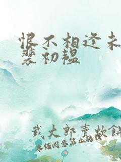 恨不相逢未嫁时裴初韫