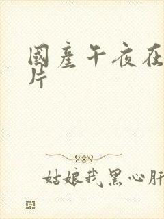 国产午夜在线看片