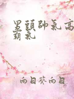 男头帅气高冷拽霸气