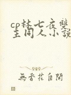 cp林七夜双男主同人小说